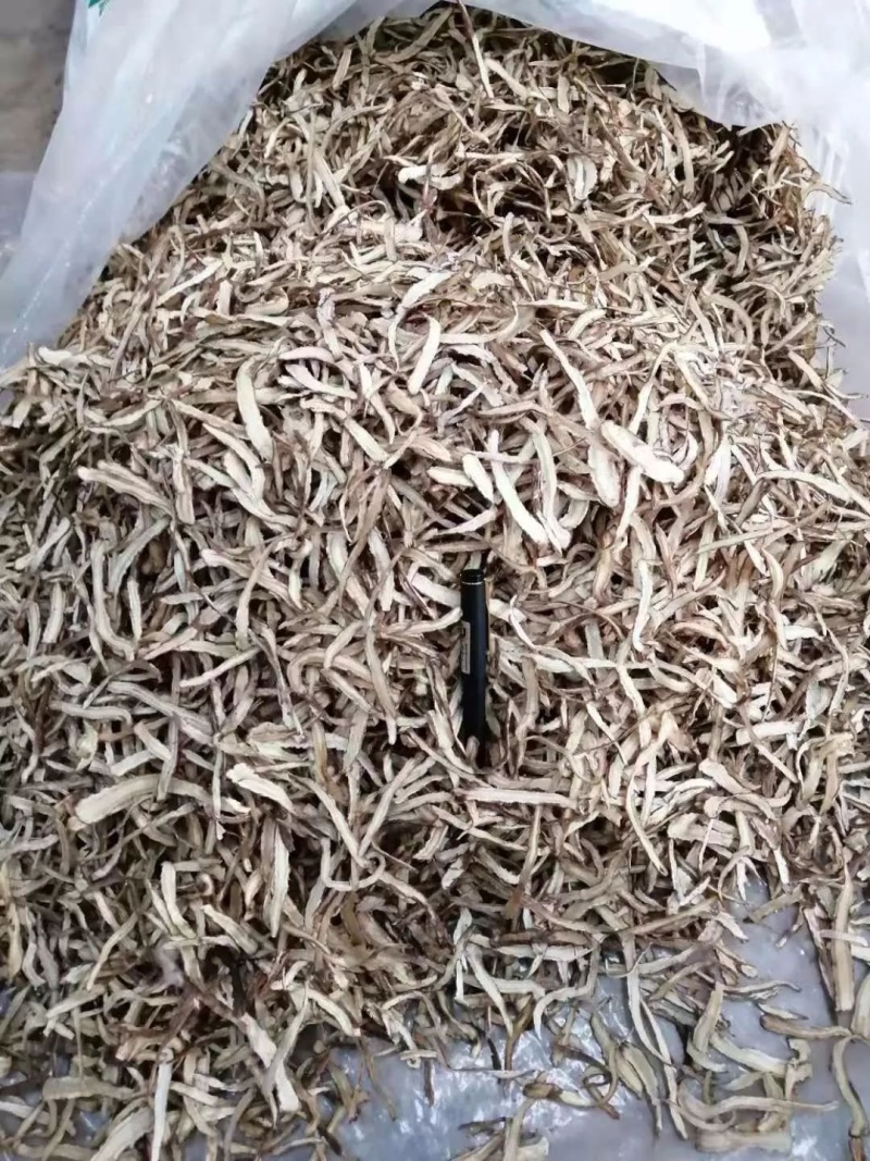 甘肃岷县无硫当归片品质上乘欢迎下单诚信经营