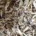 甘肃岷县无硫当归片品质上乘欢迎下单诚信经营