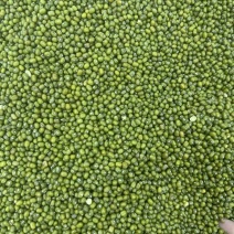 绿豆，明绿豆色泽均匀颗粒饱满粒粒醇香明豆中