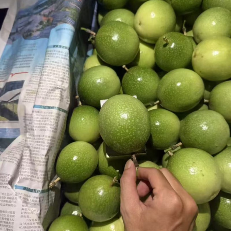 云南钦蜜9号黄金百香果，精品果甜，产地直发一手货源。