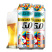 12度精酿原浆啤酒5.0全麦啤酒500ml*12/24罐装啤