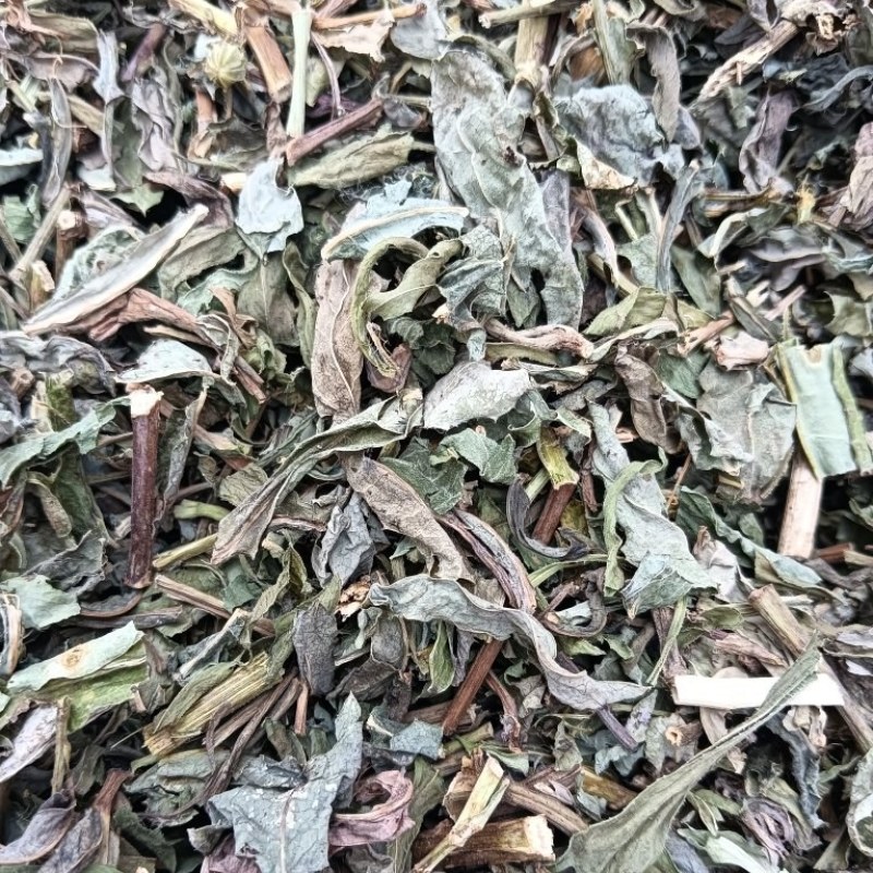 败酱草天然晒干1斤起批批发各种中药材量大优惠