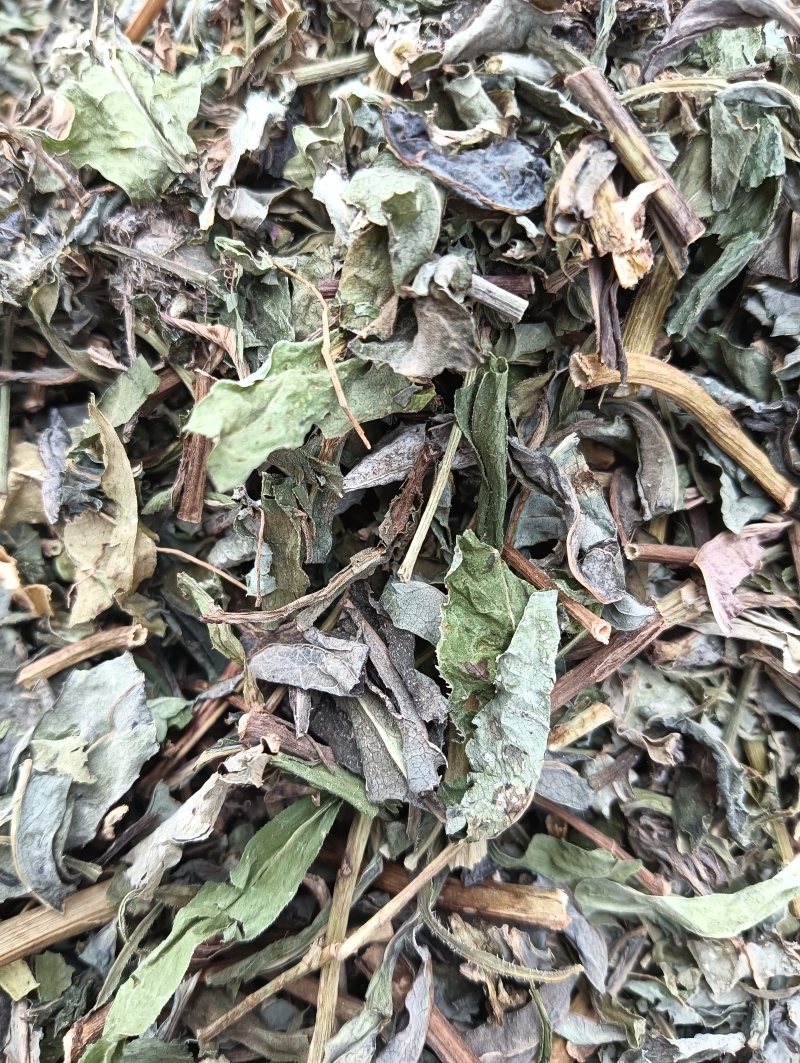 败酱草天然晒干1斤起批批发各种中药材量大优惠