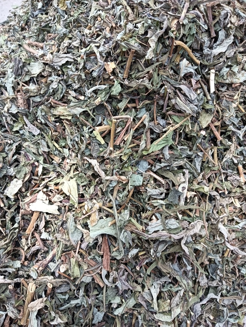 败酱草天然晒干1斤起批批发各种中药材量大优惠