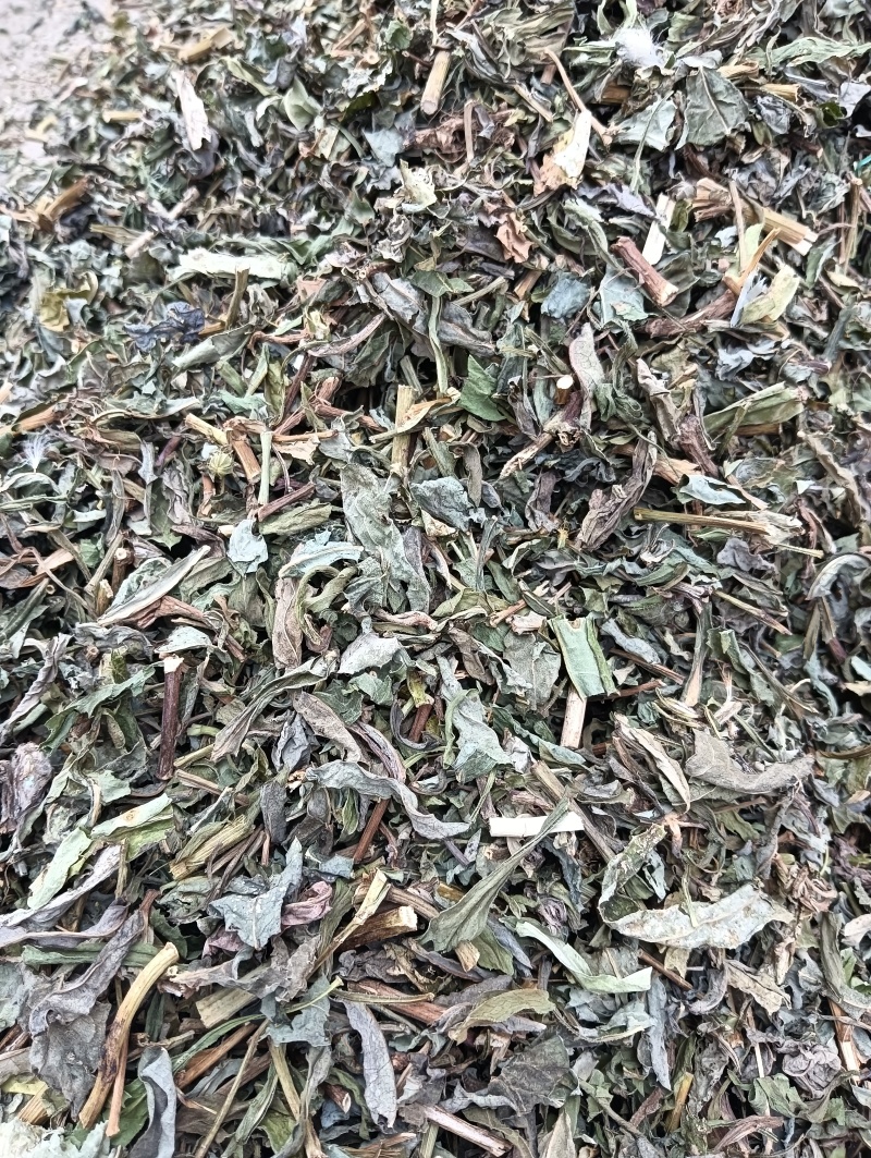 败酱草天然晒干1斤起批批发各种中药材量大优惠