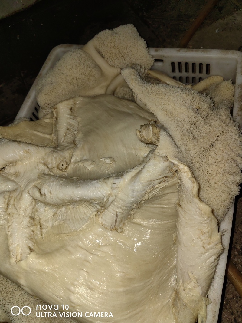 10分熟牛肚左白水煮河北石家庄可按要求定制诚信为本。
