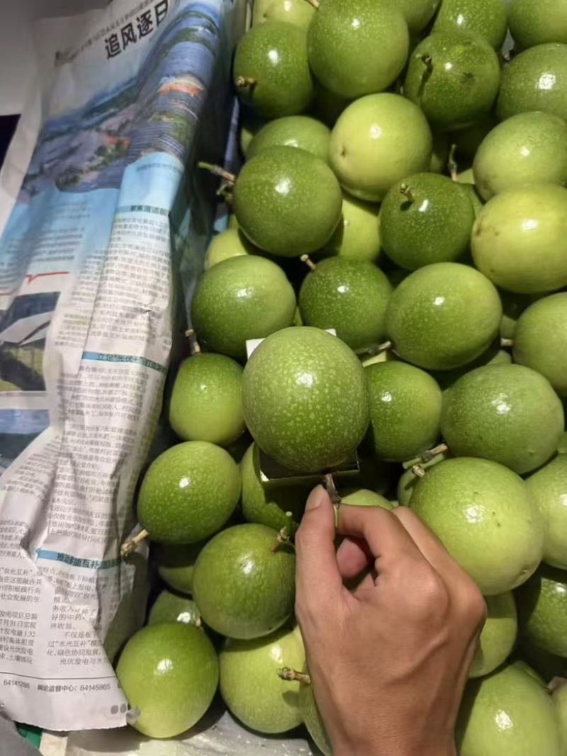 黄金百香果大量有货欢迎洽谈合作，产地直发一手货源