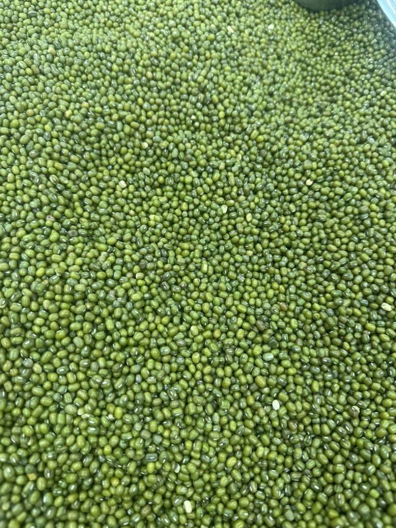 绿豆，明绿豆毛绿豆色泽均匀颗粒饱满粒粒醇香
