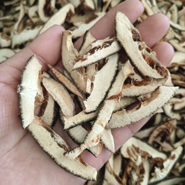 枳壳正品江西枳壳一手货源1斤起批量大优惠
