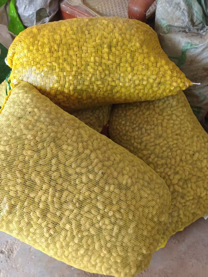大量出售鲜花生