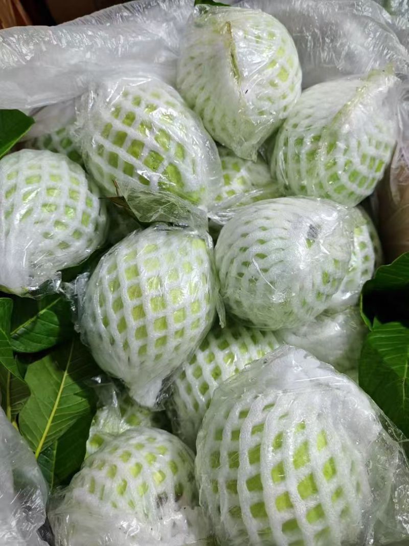 番石榴