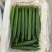 山东黄瓜精品密刺油亮黄瓜现采现发产地直发量大质优