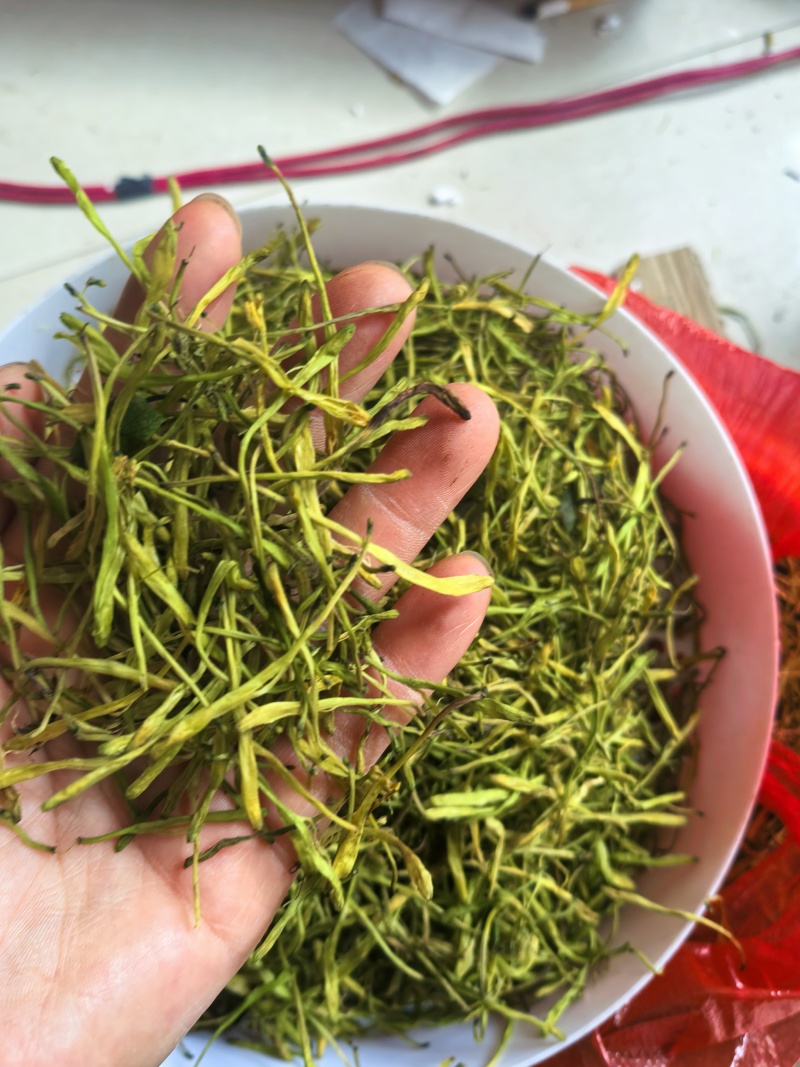 云南金银花