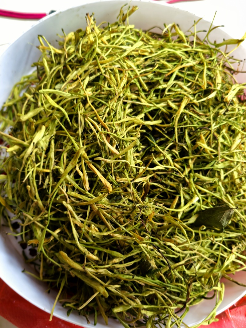 云南金银花