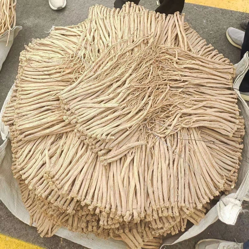 岷县党参大量供应，一手货源，品质保证，可对接电商商超等