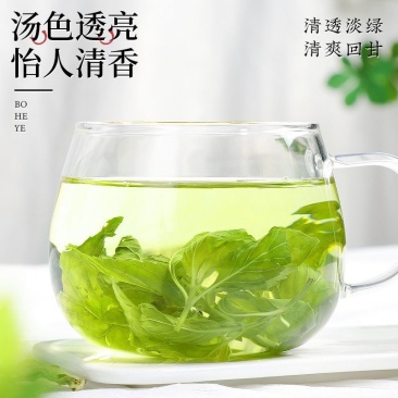 特级薄荷叶精选干薄荷茶叶清凉新鲜可食用花草茶泡水泡茶无硫51