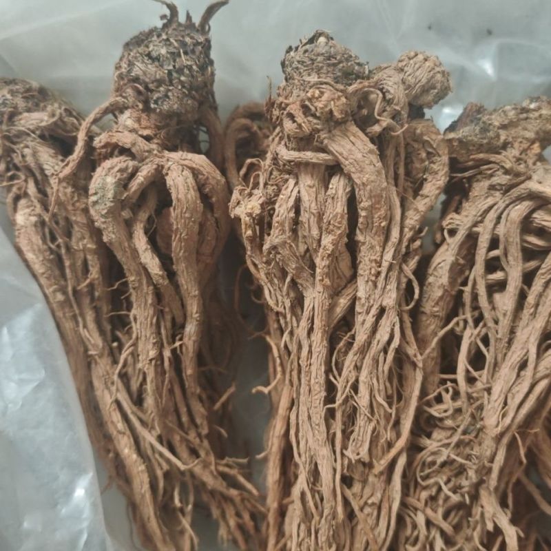 当归全归片无硫一棵树保农残品质保证，可视频看货，诚信经营