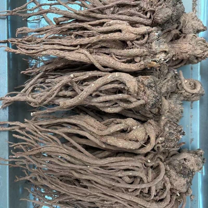当归全归片无硫一棵树保农残品质保证，可视频看货，诚信经营