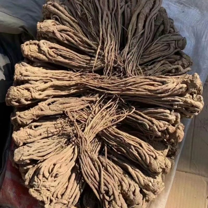 当归全归片无硫一棵树保农残品质保证，可视频看货，诚信经营