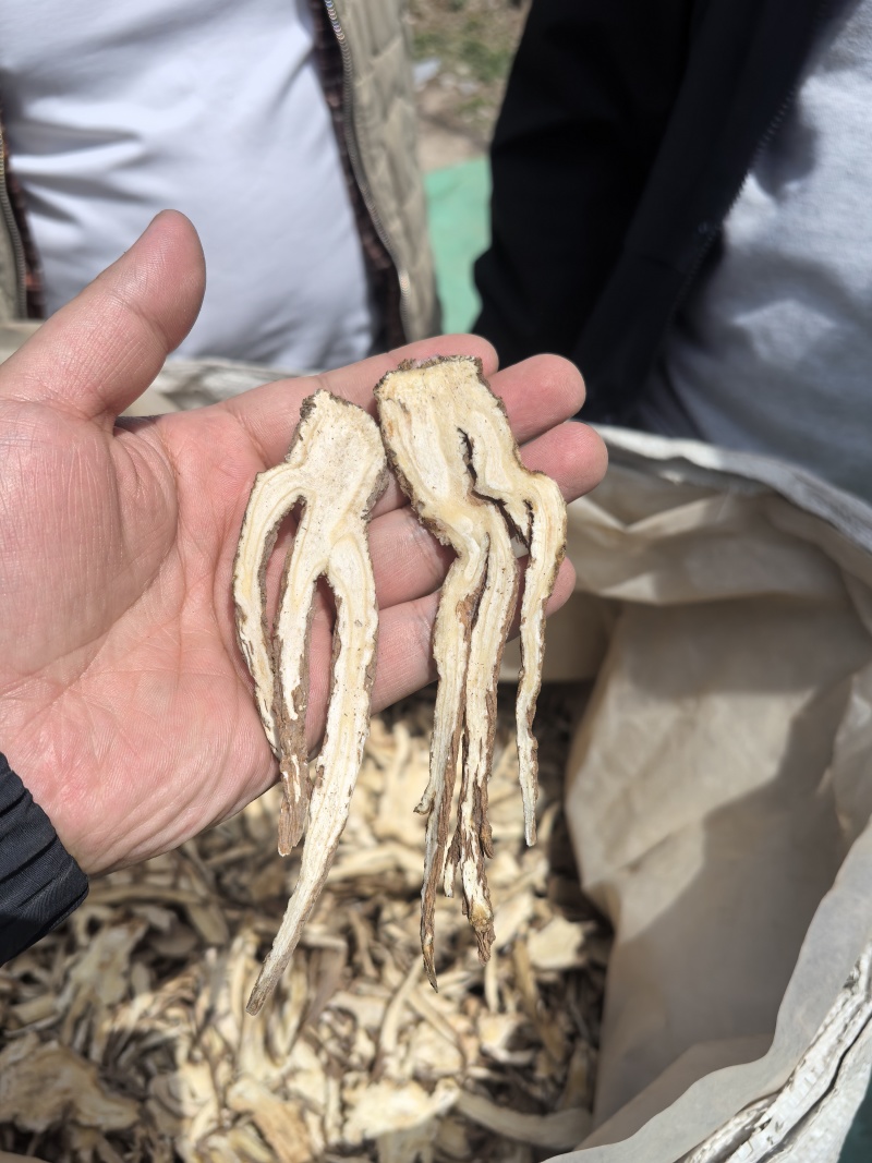 当归全归片无硫一棵树保农残品质保证，可视频看货，诚信经营