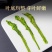 景福山特级太平猴魁绿茶2025新茶兰花香安徽黄山原产送礼盒装