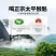 景福山特级太平猴魁绿茶2025新茶兰花香安徽黄山原产送礼盒装