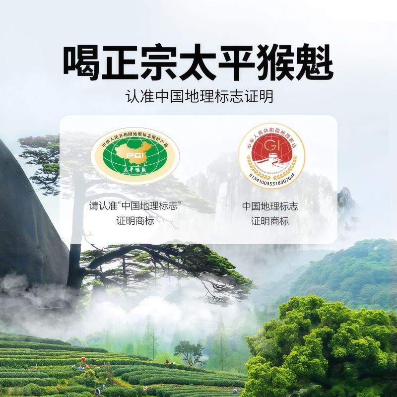 景福山特级太平猴魁绿茶2025新茶兰花香安徽黄山原产送礼盒装
