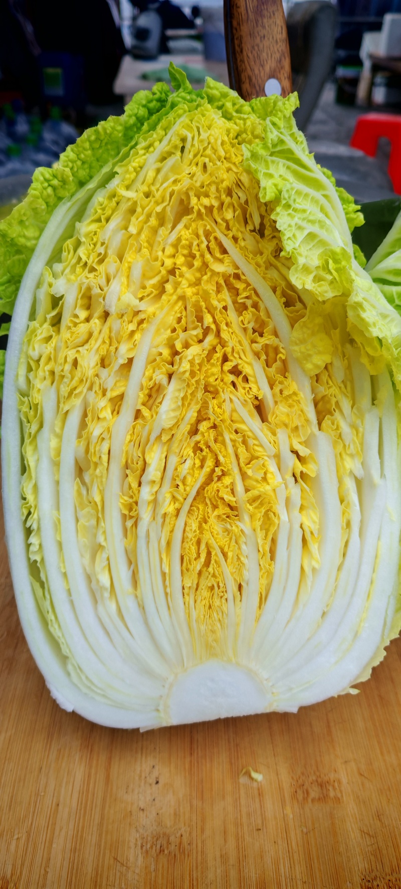 精品白菜苗，叶色浓绿，抗病强，长势好产量高，免费技术指导