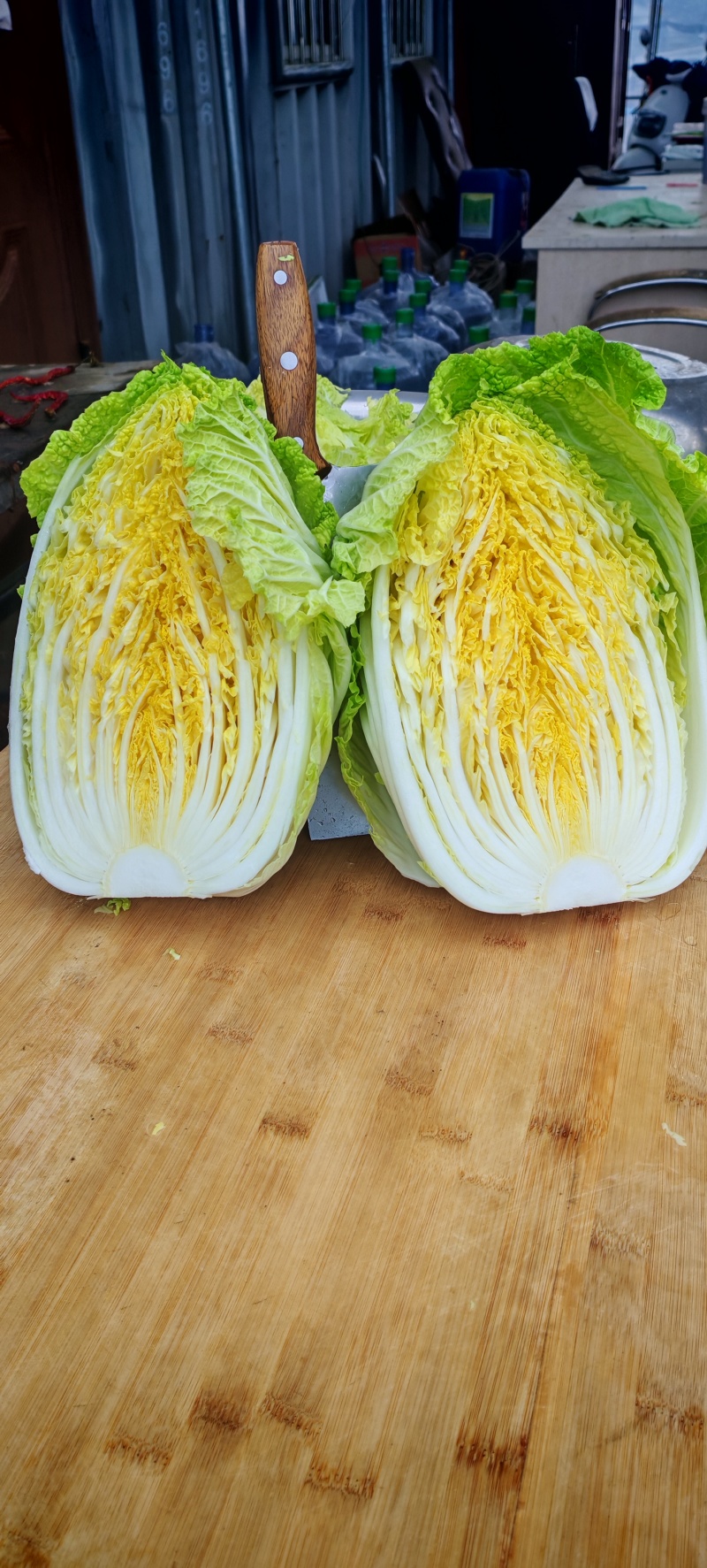 精品白菜苗，叶色浓绿，抗病强，长势好产量高，免费技术指导