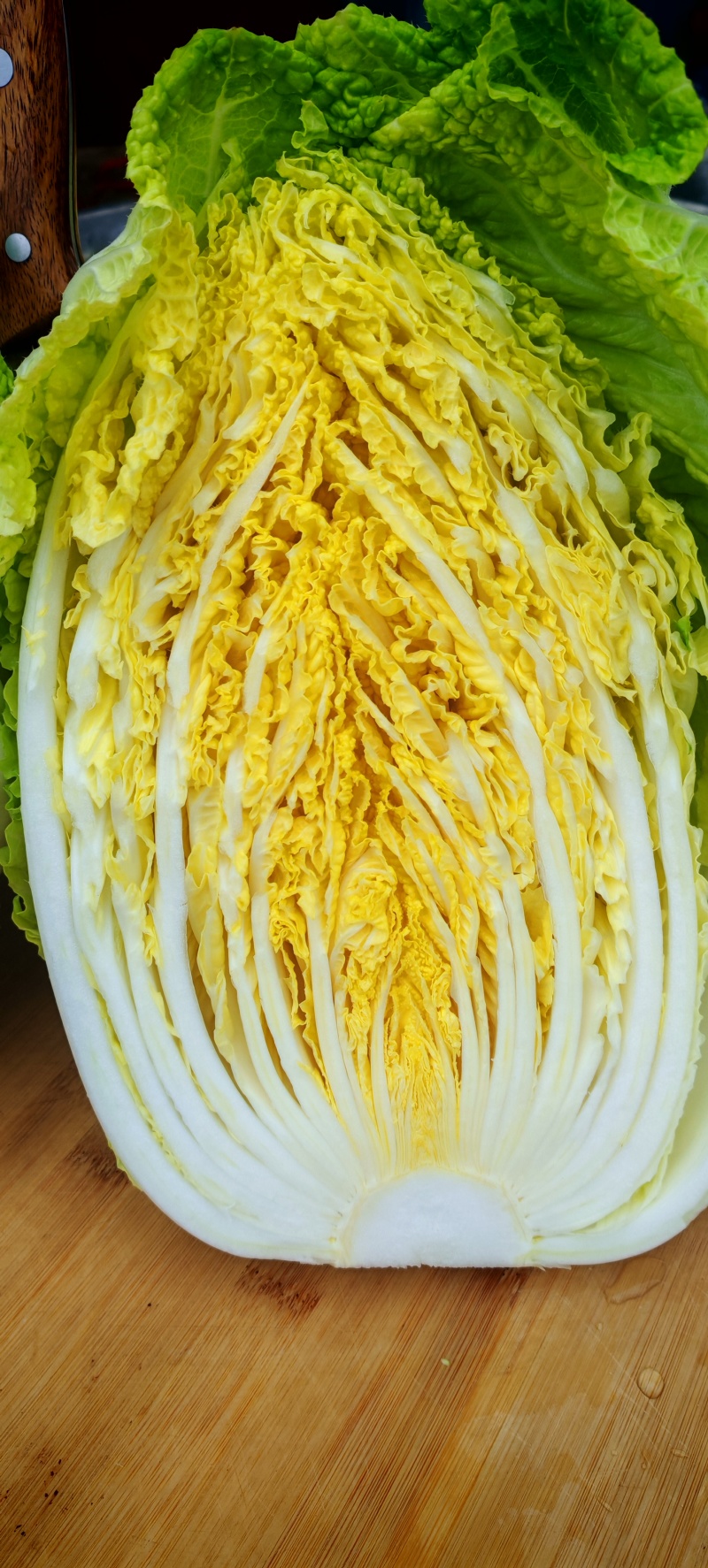 精品白菜苗，叶色浓绿，抗病强，长势好产量高，免费技术指导