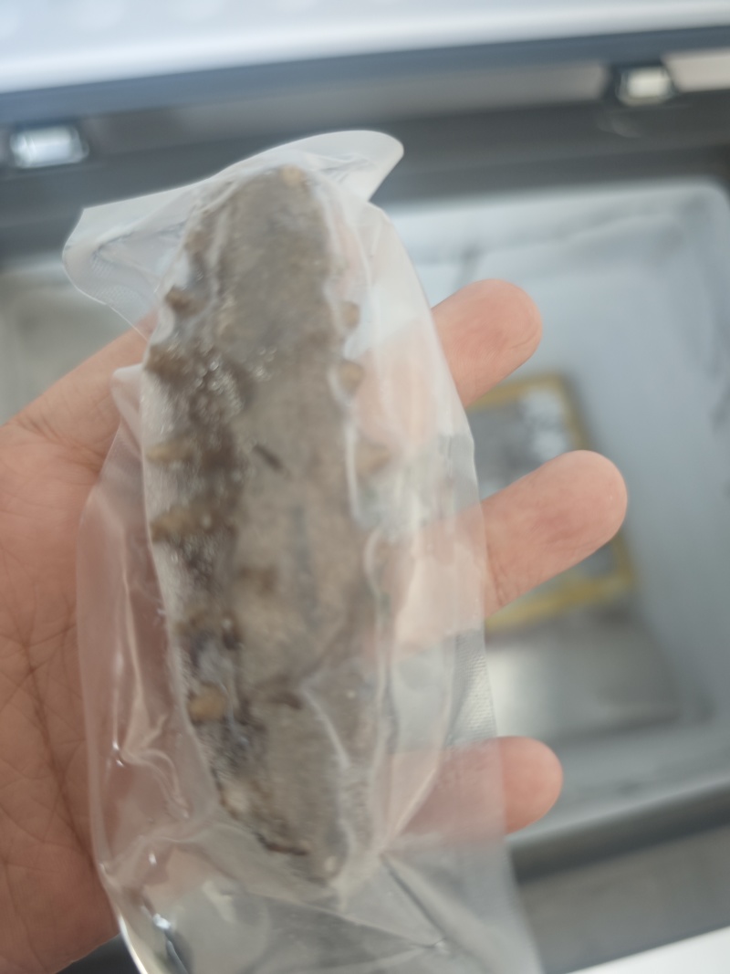 即食海参底播辽参