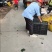 猕猴桃