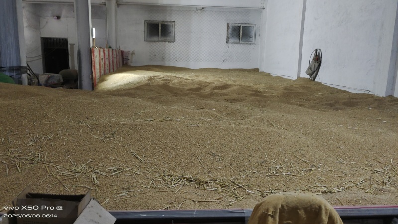 一百多亩地的，泛麦8号大概有60吨左右，哪位老板看上的私