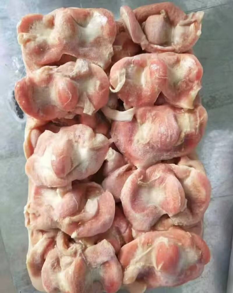 鸡胗规格齐全老母鸡三黄鸡价格公道质量好