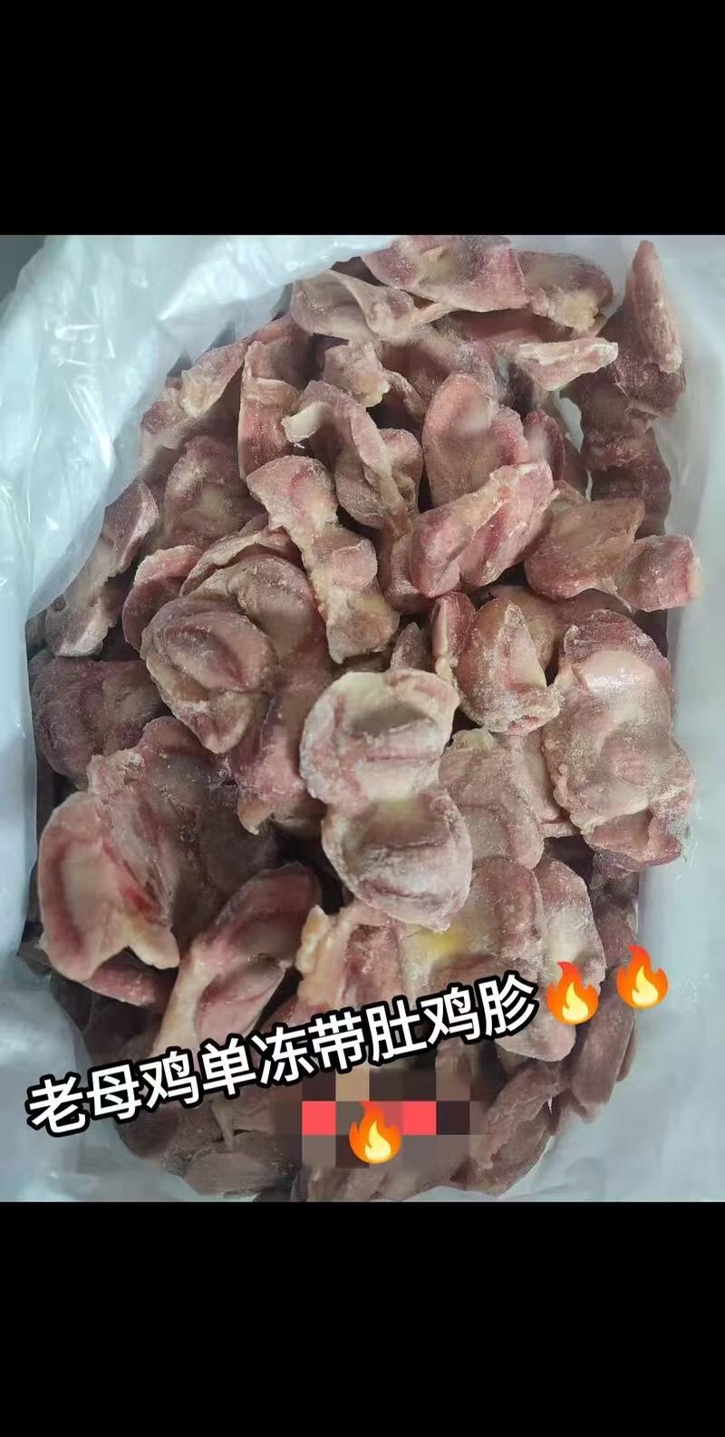 鸡胗规格齐全老母鸡三黄鸡价格公道质量好