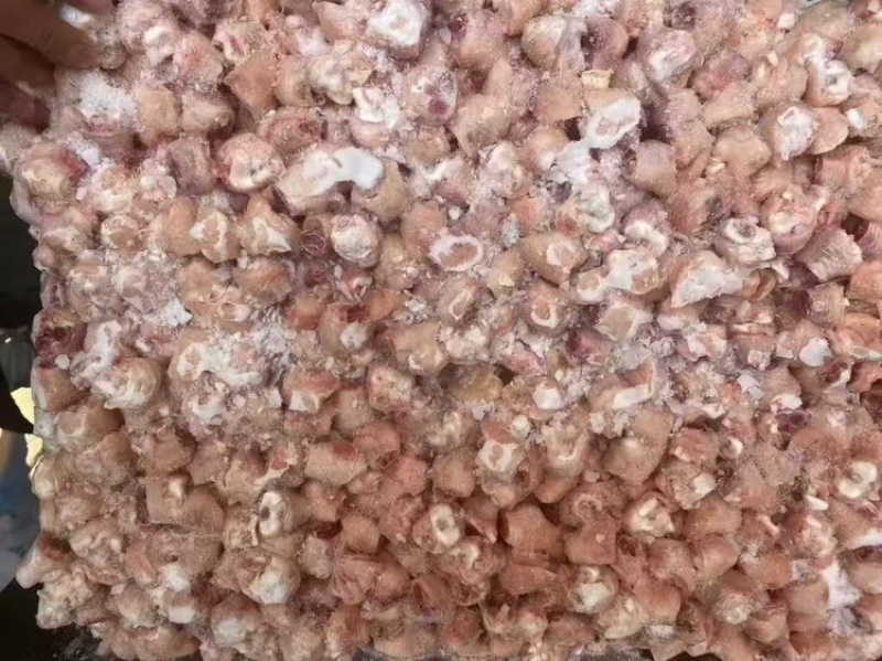 爪骨规格齐全质量保证全国直达量大从优