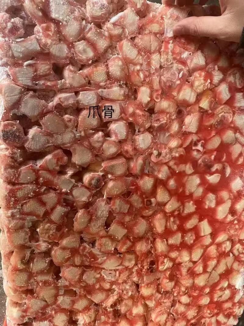爪骨规格齐全质量保证全国直达量大从优