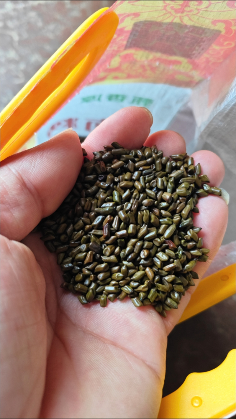 正宗宁夏决明子茶决明子泡茶水***决明子散装无硫家用新货