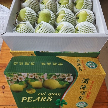浦阳蜜梨平均8两——1斤/一个