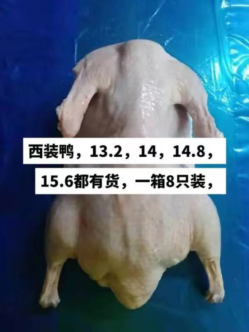 西装鸭规格齐全支持订购干净整洁冷链发货