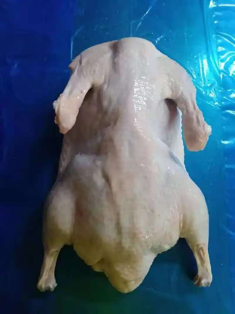 西装鸭规格齐全支持订购干净整洁冷链发货