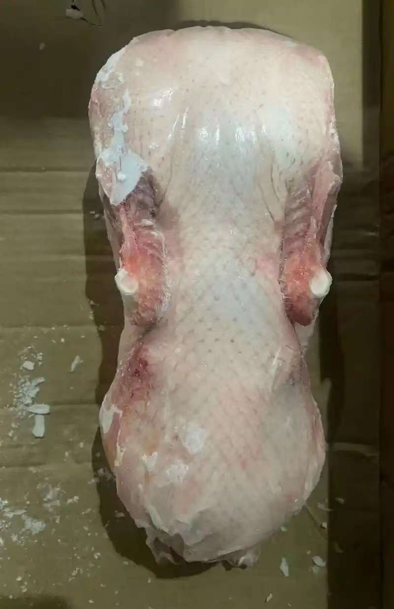西装鸭规格齐全支持订购干净整洁冷链发货