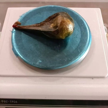 熊大胆，熊二胆