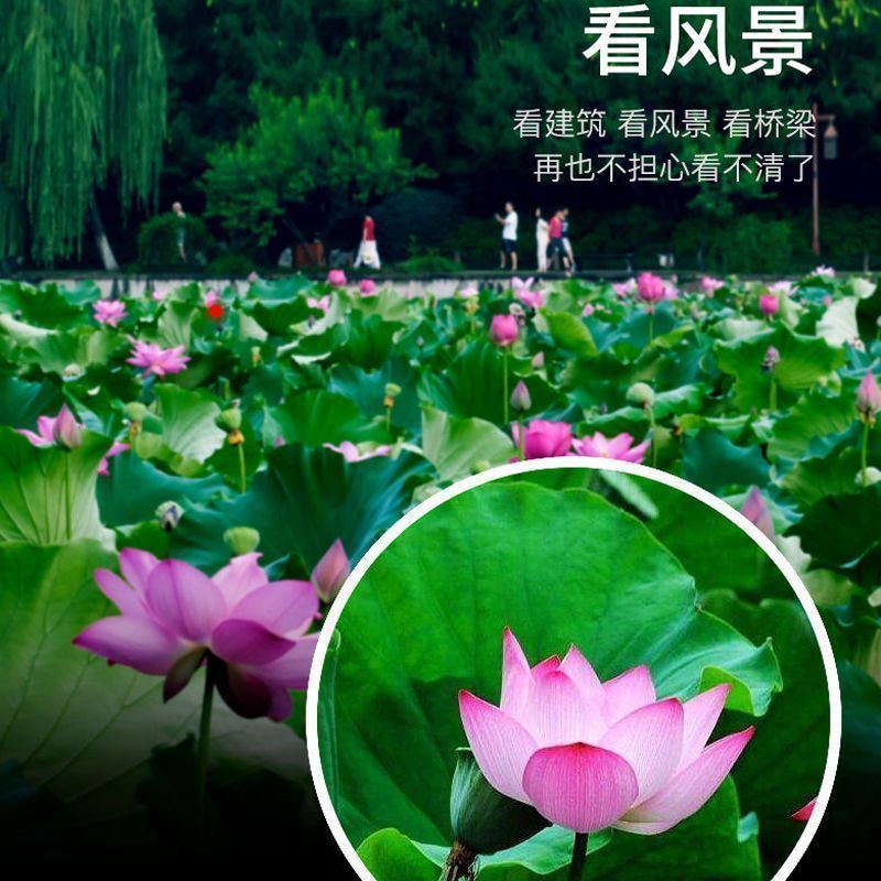 望远镜单筒高倍高清日夜两用微光夜视镜非红外超高清手机拍照
