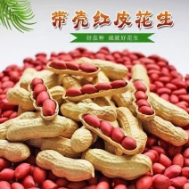 四粒红/红皮小粒花生，白米红米规格齐全，整车发货
