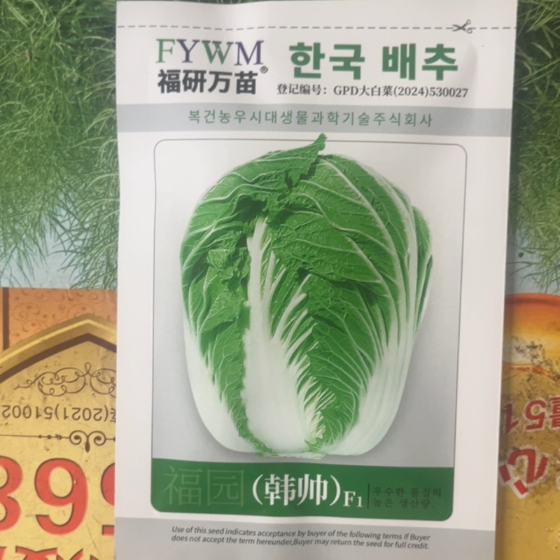 韩帅80天大白菜，口味佳，耐耐贮性好