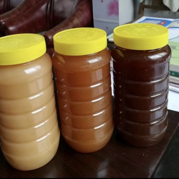散养的野生蜂蜜，有玄参蜜，荆条蜜，百花蜜，长期供应