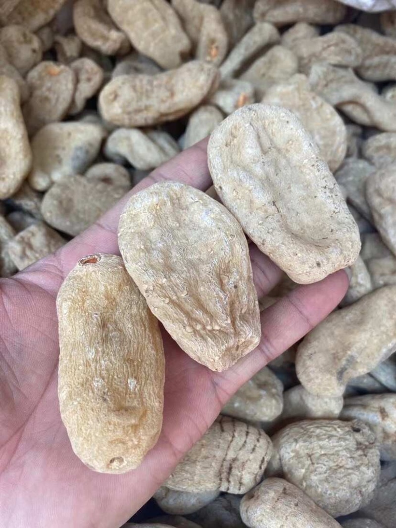 天麻昭通天麻昭通小草坝天麻批发