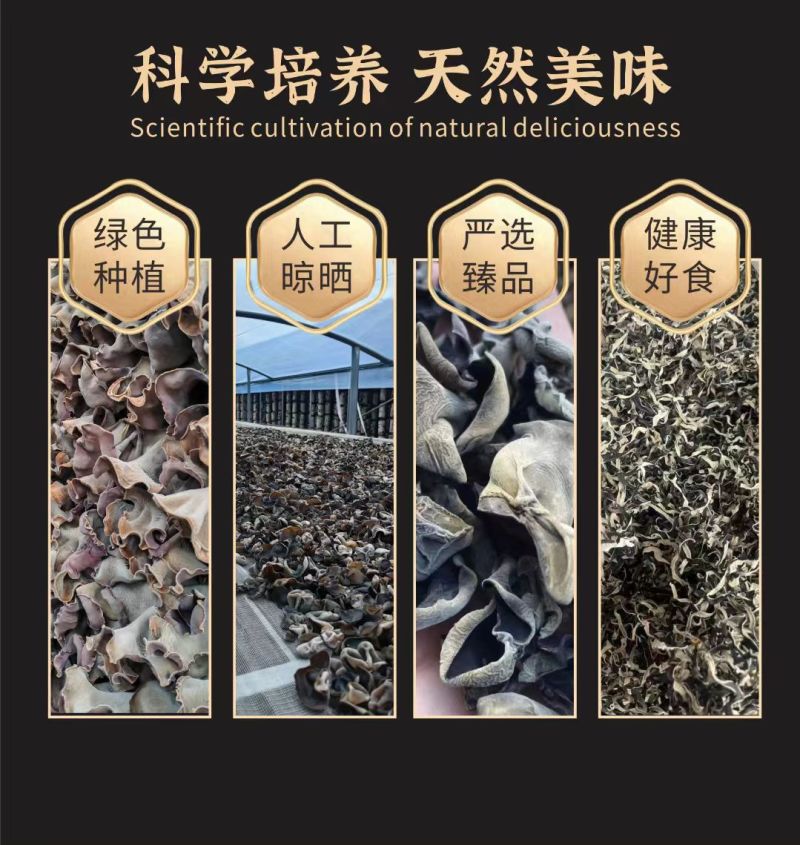 头茬毛木耳丝不掺二茬干货店凉菜店火锅店螺蛳粉商用