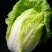 韩帅80天大白菜，口味佳，耐耐贮性好
